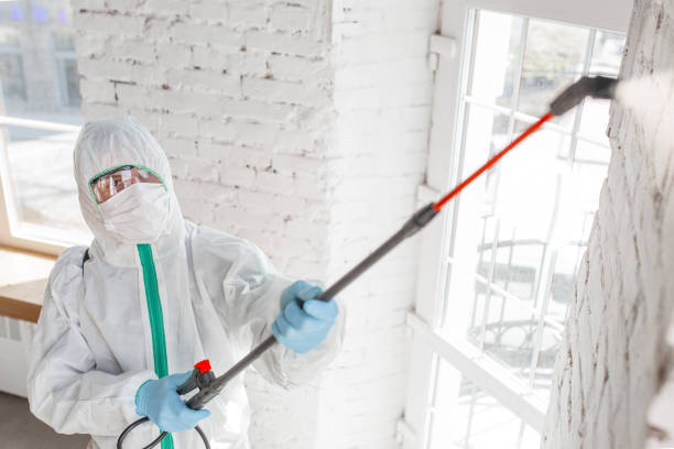 Best Mold Odor Removal Services  in North Kensington, MD