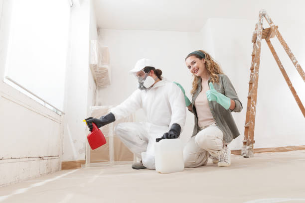 Best Attic Mold Removal  in North Kensington, MD